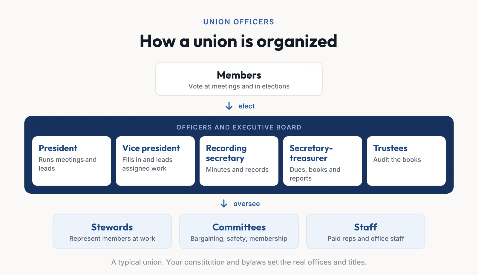 A typical union’s structure: members elect the officers, the president, vice president, recording secretary, secretary-treasurer and trustees, who sit on the executive board along with any board members. The officers oversee stewards, committees and staff.
